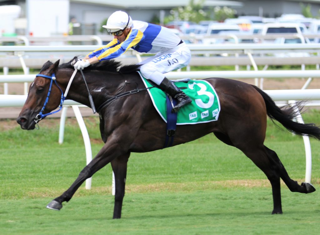 Happy Go Plucky (3) | Just Horse Racing