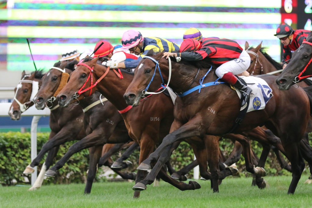 learn about horse racing betting tips learn about horse racing betting tips