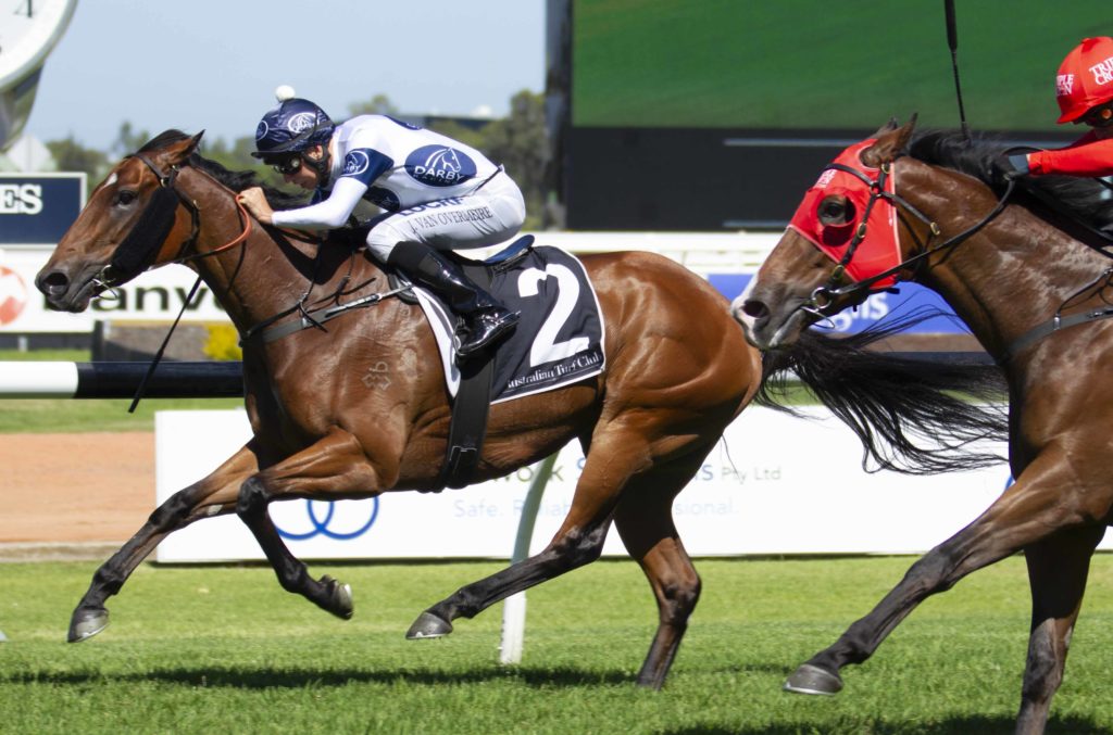 Irithea-20181208-8601_1 | Just Horse Racing