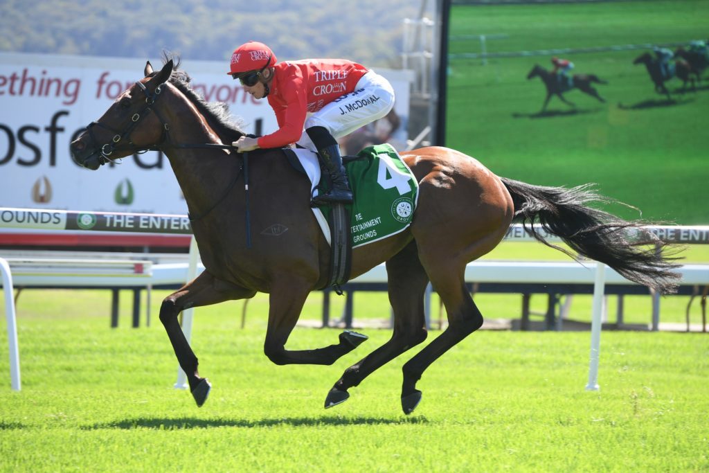 Military Zone 281218 3139 | Just Horse Racing