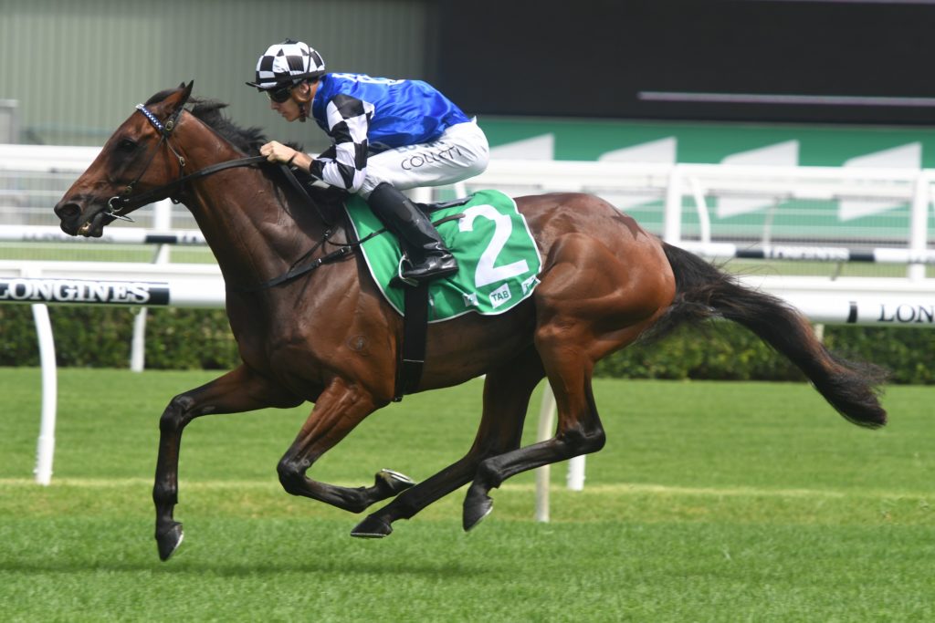 Our Century 151218 8867 | Just Horse Racing