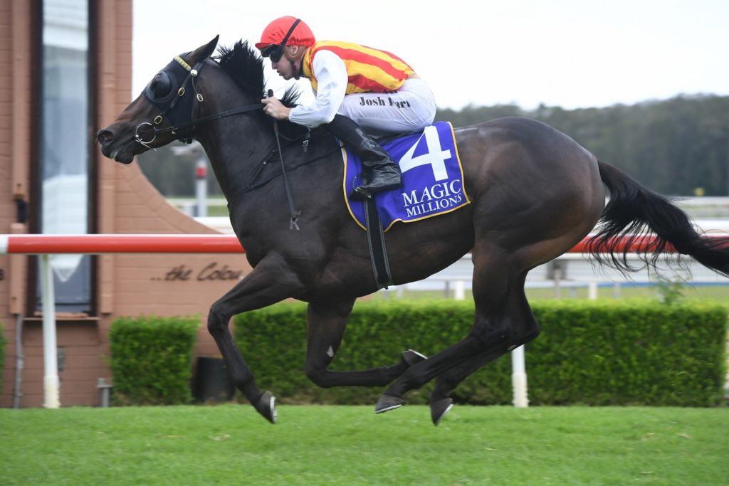 Problem Solver 121218 7951 | Just Horse Racing