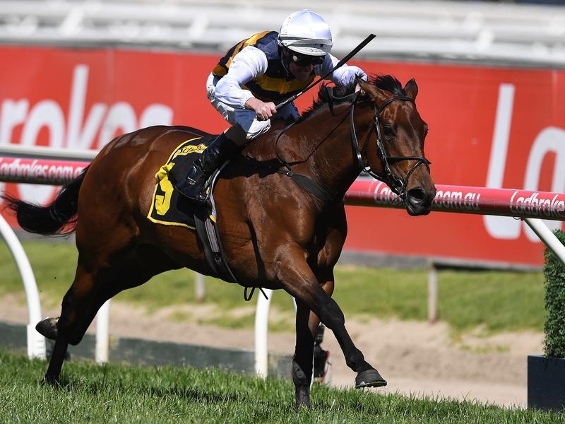 Randwick Preview | Just Horse Racing