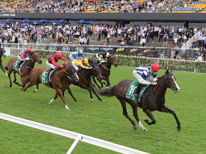 Randwick Razor | Just Horse Racing
