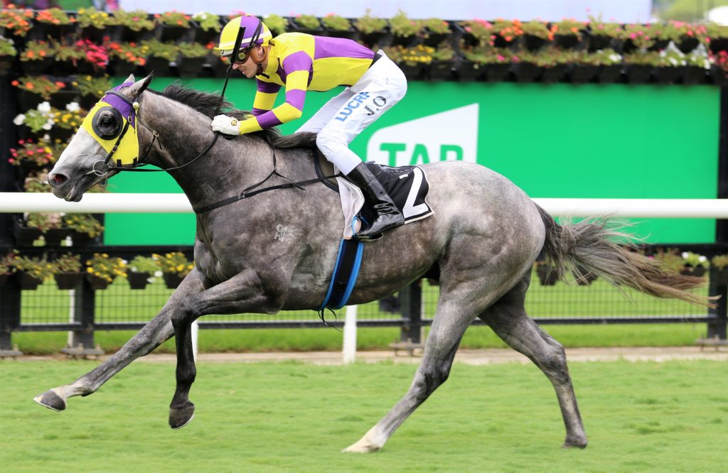 Trusty Lad (3) | Just Horse Racing