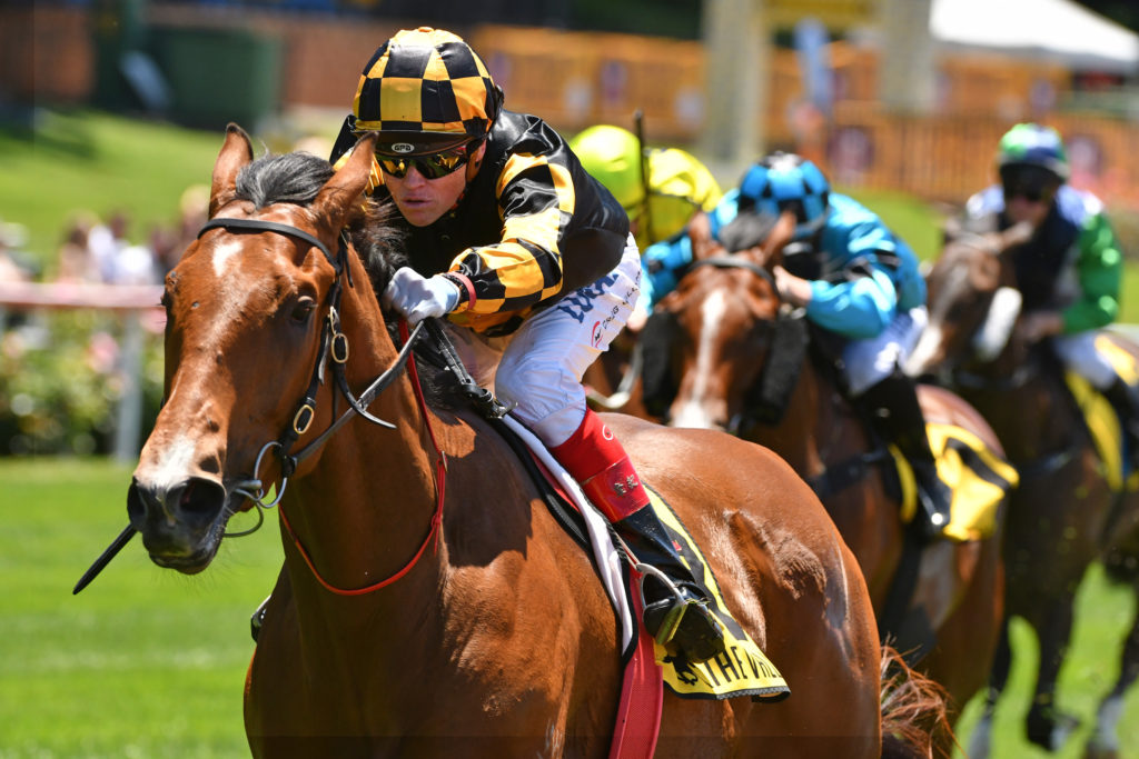 Behemoth | Just Horse Racing