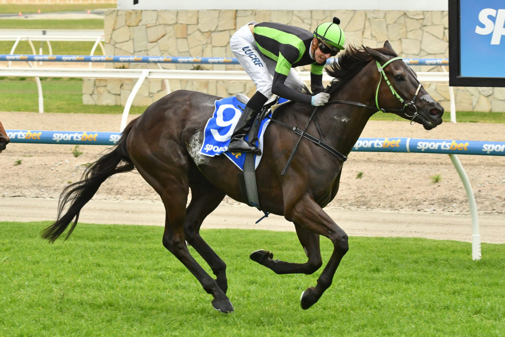 Our Big Mike | Just Horse Racing