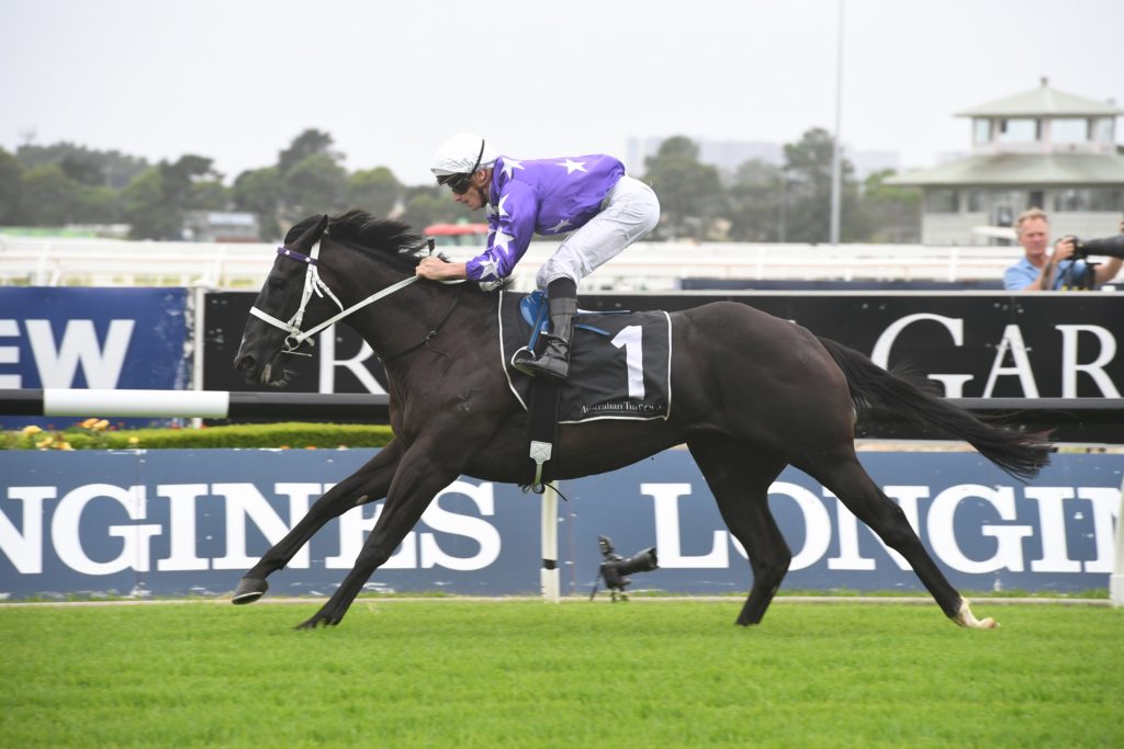 Accession 190119 9290 | Just Horse Racing