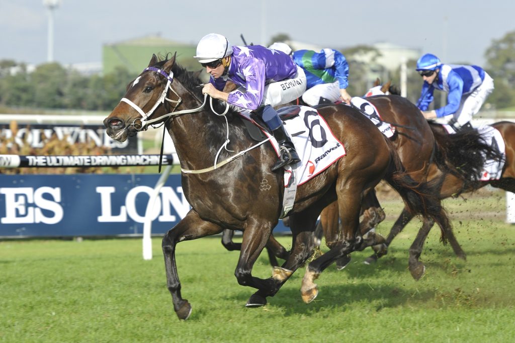 Avonaco 110616 0926 | Just Horse Racing