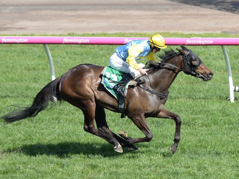 Caulfield Dillon | Just Horse Racing