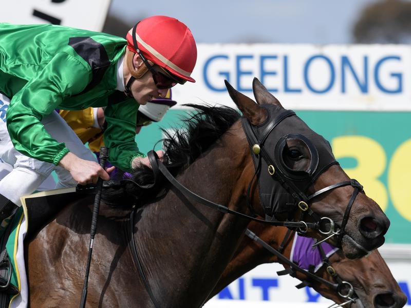 Caulfield Preview | Just Horse Racing