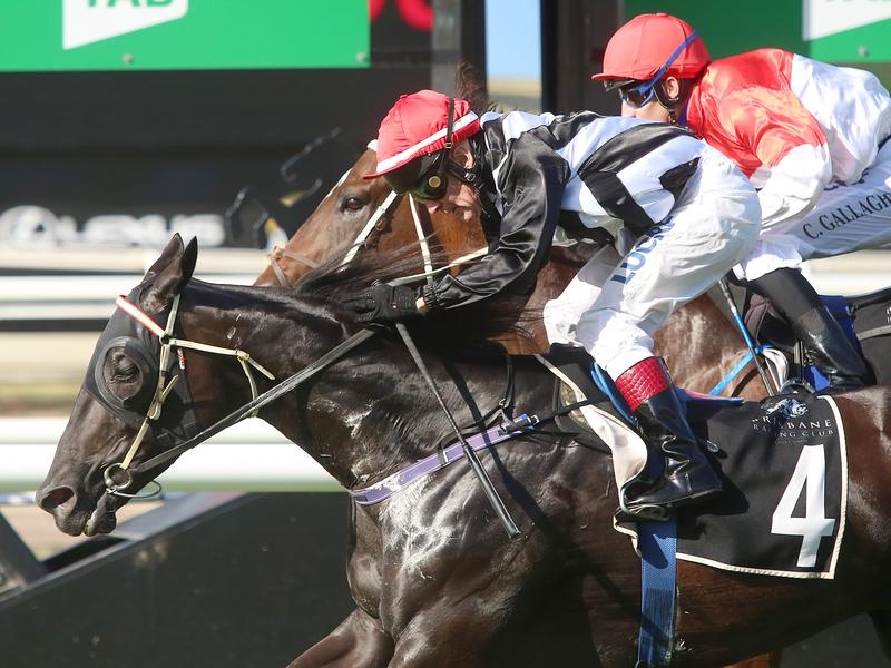 Eagle Farm Preview | Just Horse Racing