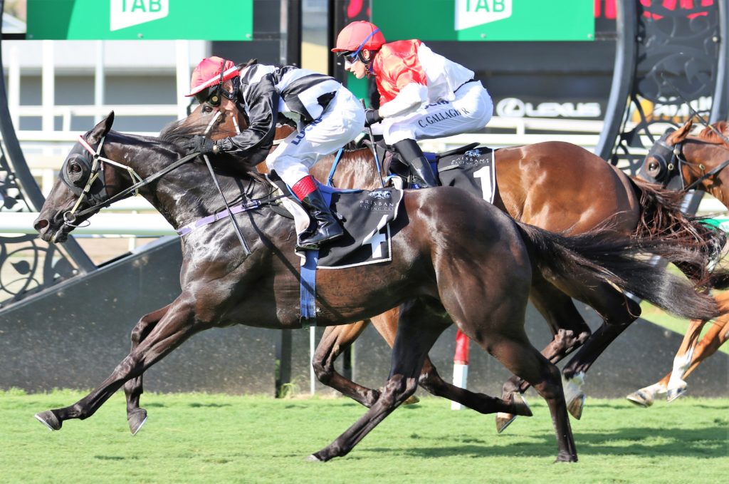 Emphasis (1) | Just Horse Racing