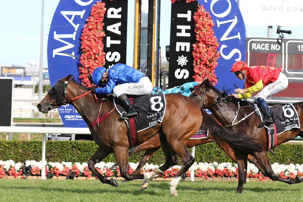 Magic Millions Raceday 2025 Fields, Tips and Odds