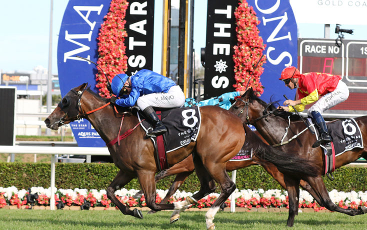Magic Millions Raceday 2021 - Fields, Tips and Odds
