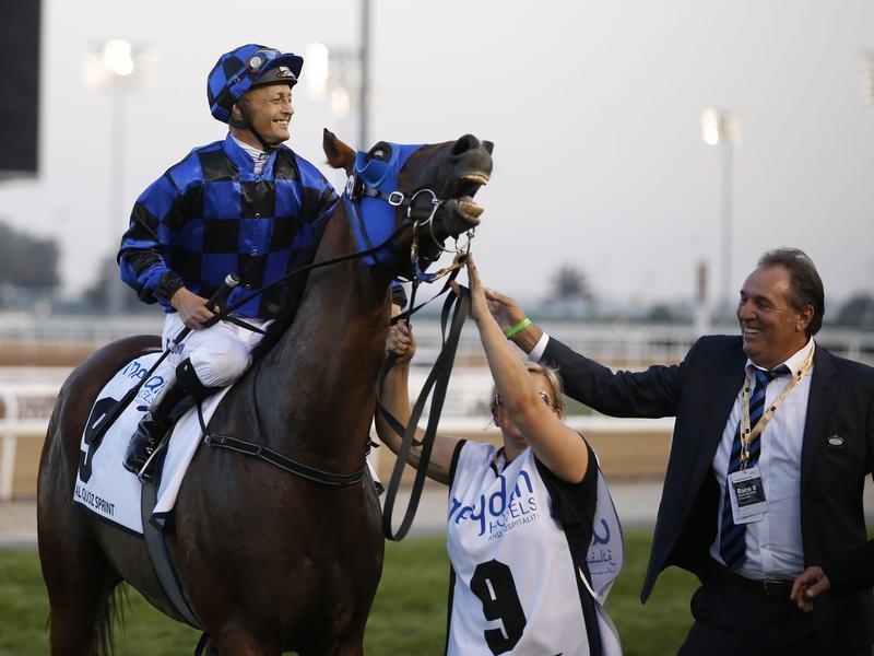 Gallops Dubai | Just Horse Racing