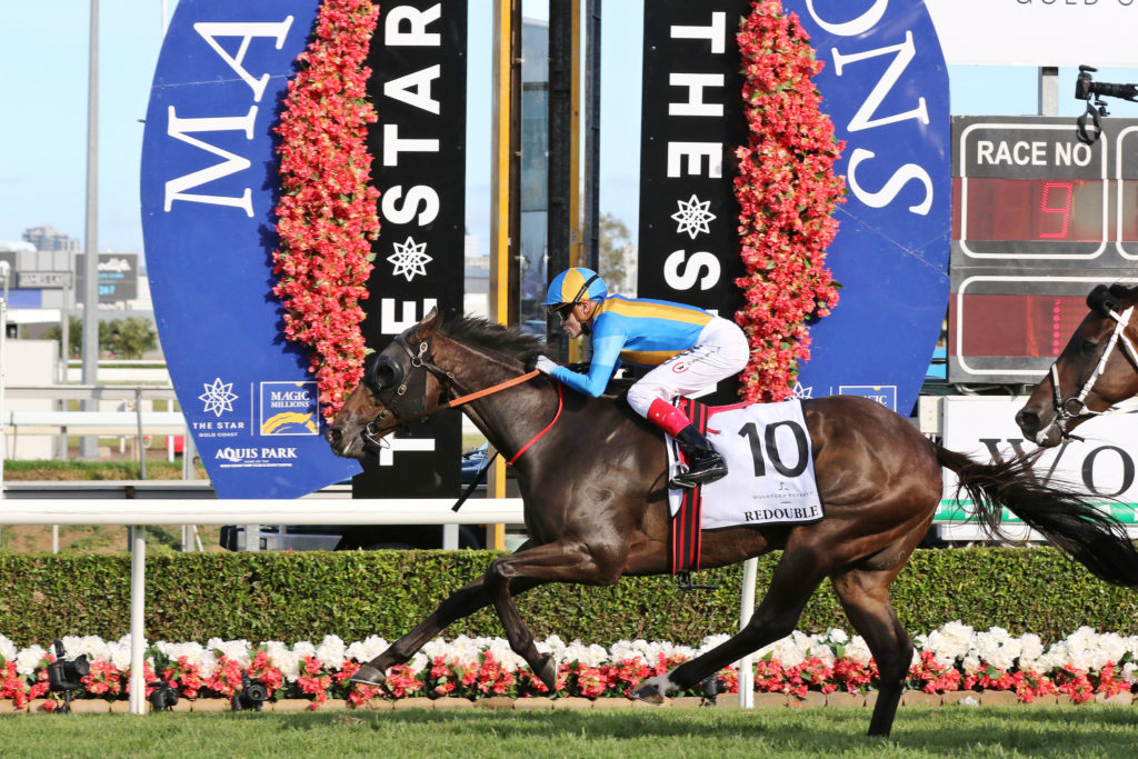 Redouble,Magic Millions Cup_12-01-2019_WIN_Gold Coast_9__2073 | Just Horse Racing