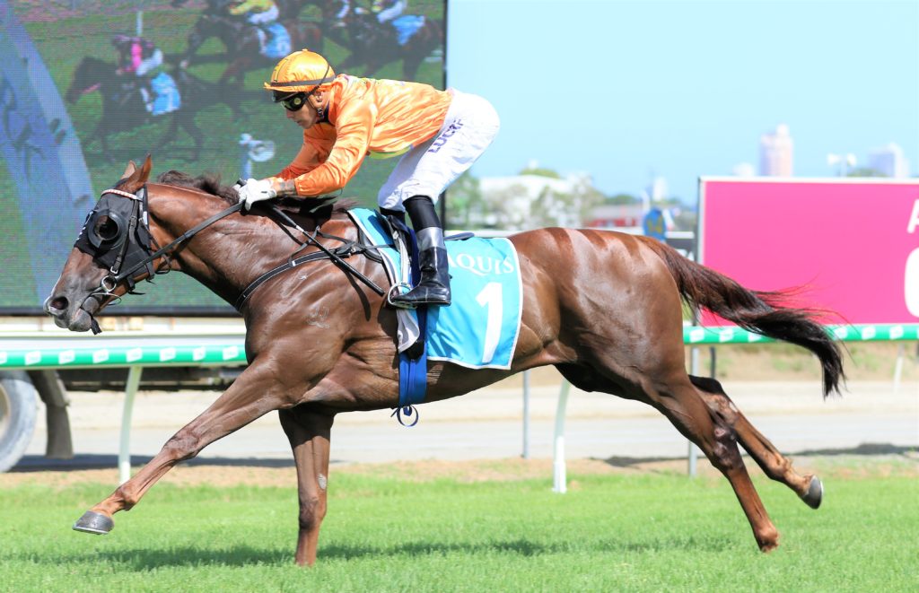 Tyzone (2) | Just Horse Racing
