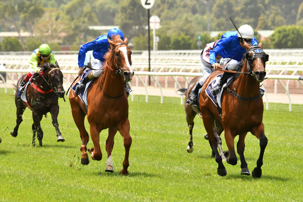 r1Microphone-20190112-5772 | Just Horse Racing