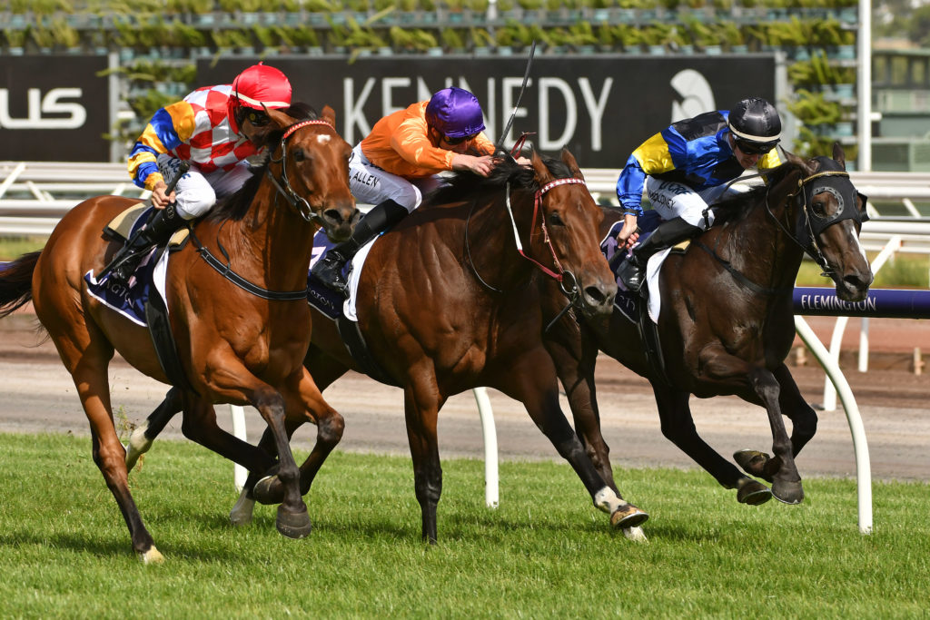 r8ManoloBlahniq-20190112-6343 | Just Horse Racing