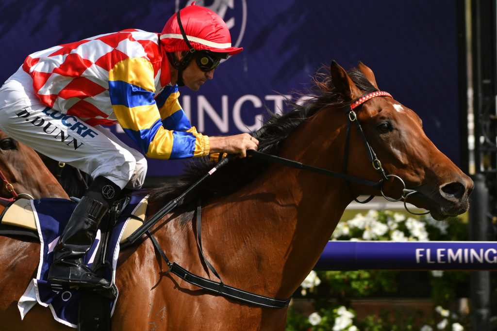r8ManoloBlahniq-20190112-6358 | Just Horse Racing