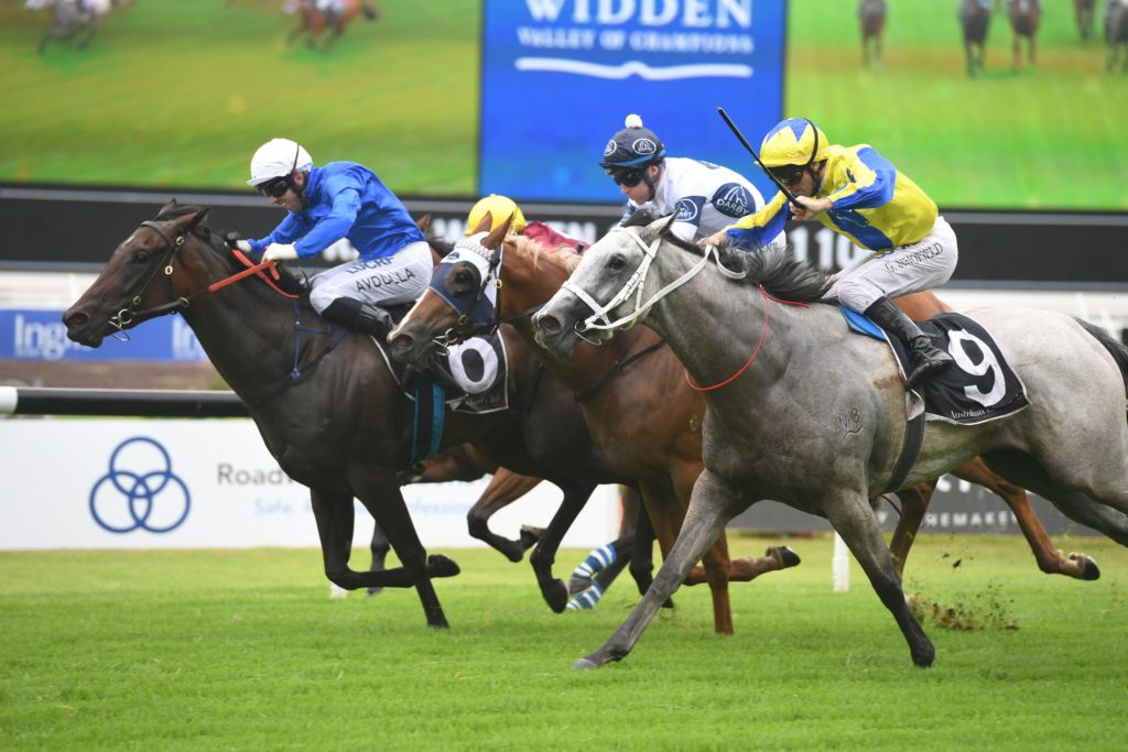 Amercement 020219 2418 | Just Horse Racing