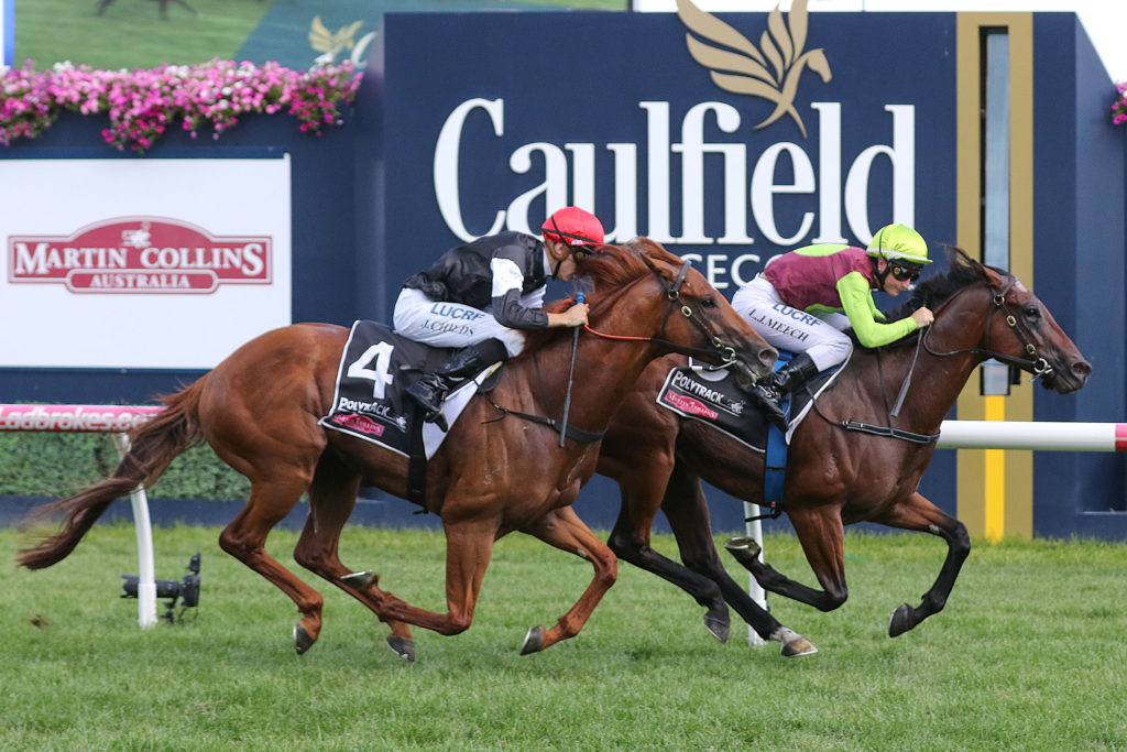 Bons Away_02-02-2019_WIN_Caulfield_7__1014 | Just Horse Racing