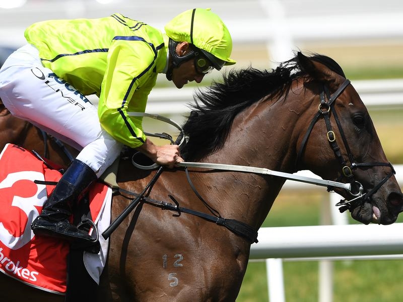 Caulfield Code | Just Horse Racing