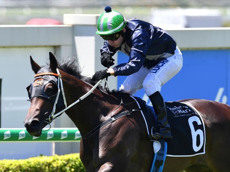 Doomben Raay | Just Horse Racing