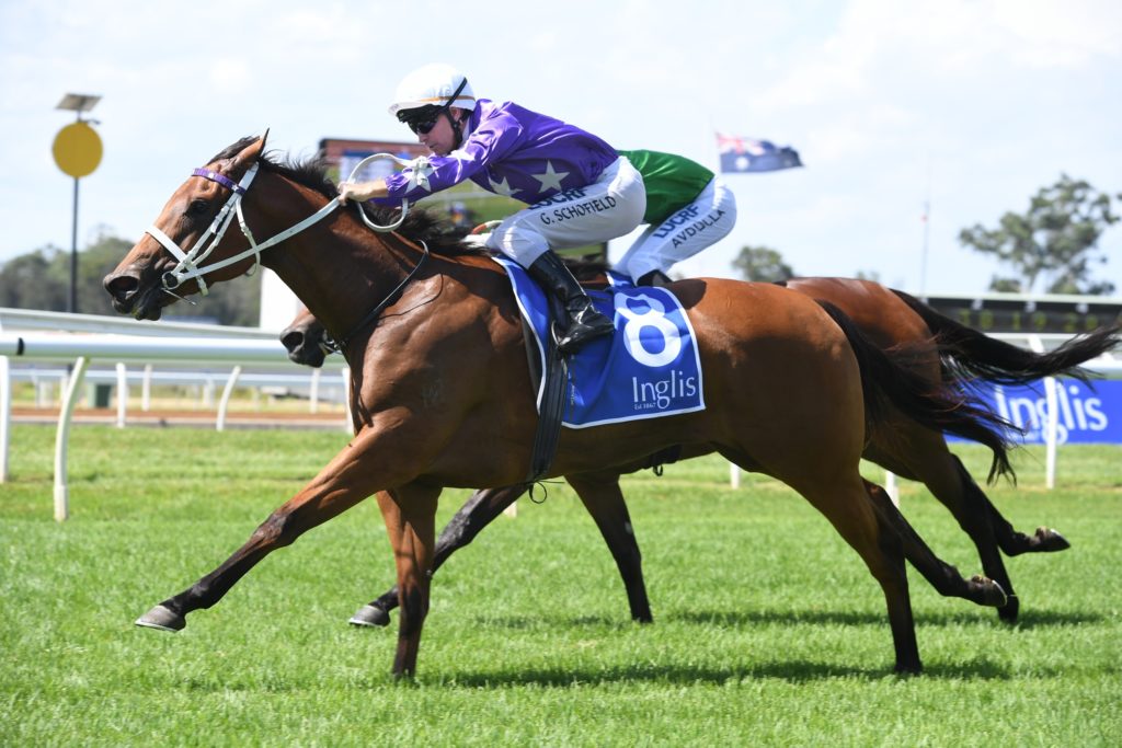 Fiesta 090219 3702 | Just Horse Racing