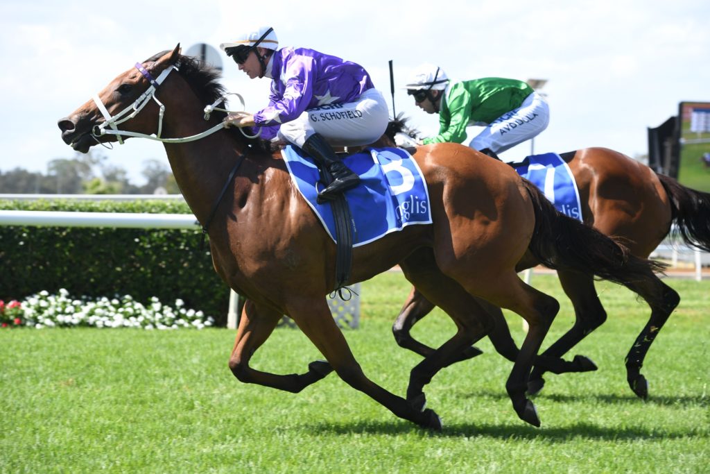 Fiesta 090219 3704 | Just Horse Racing