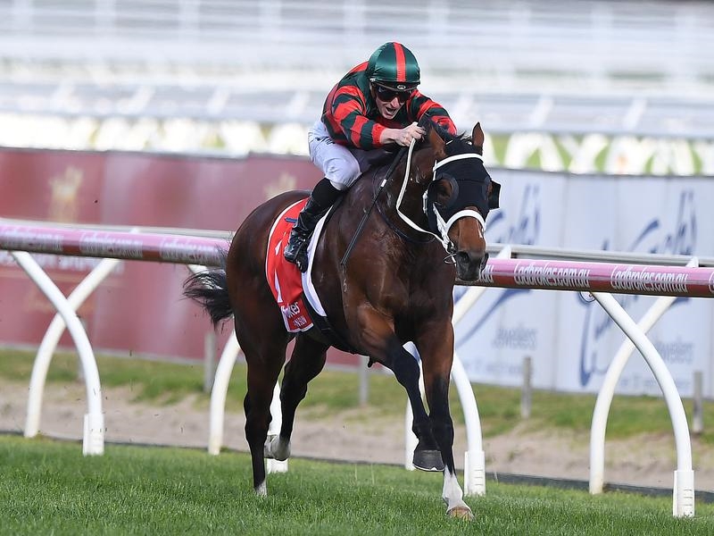 Gallops Rosehill | Just Horse Racing