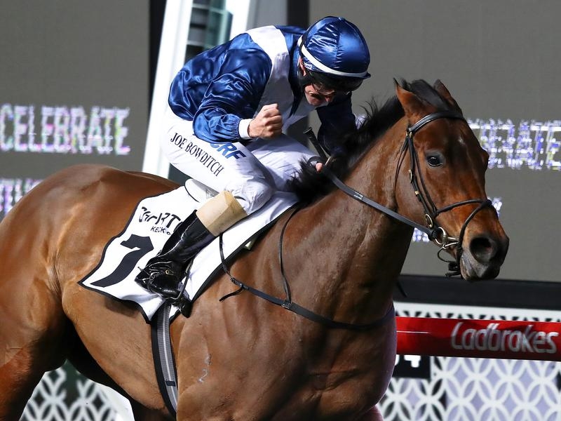 Gallops Viddora | Just Horse Racing