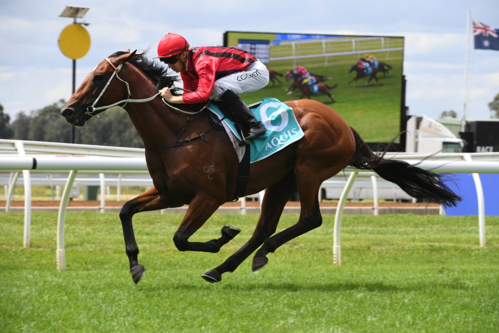 Gem Song 090219 3556 | Just Horse Racing