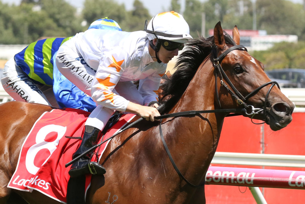 Loving Gaby,Ladbrokes Chairmans Stakes,Group 3_02-02-2019_WIN_Caulfield_4__690 | Just Horse Racing