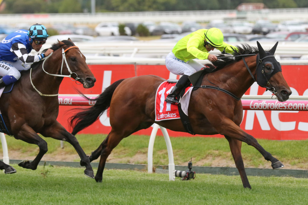 Manuel | Just Horse Racing
