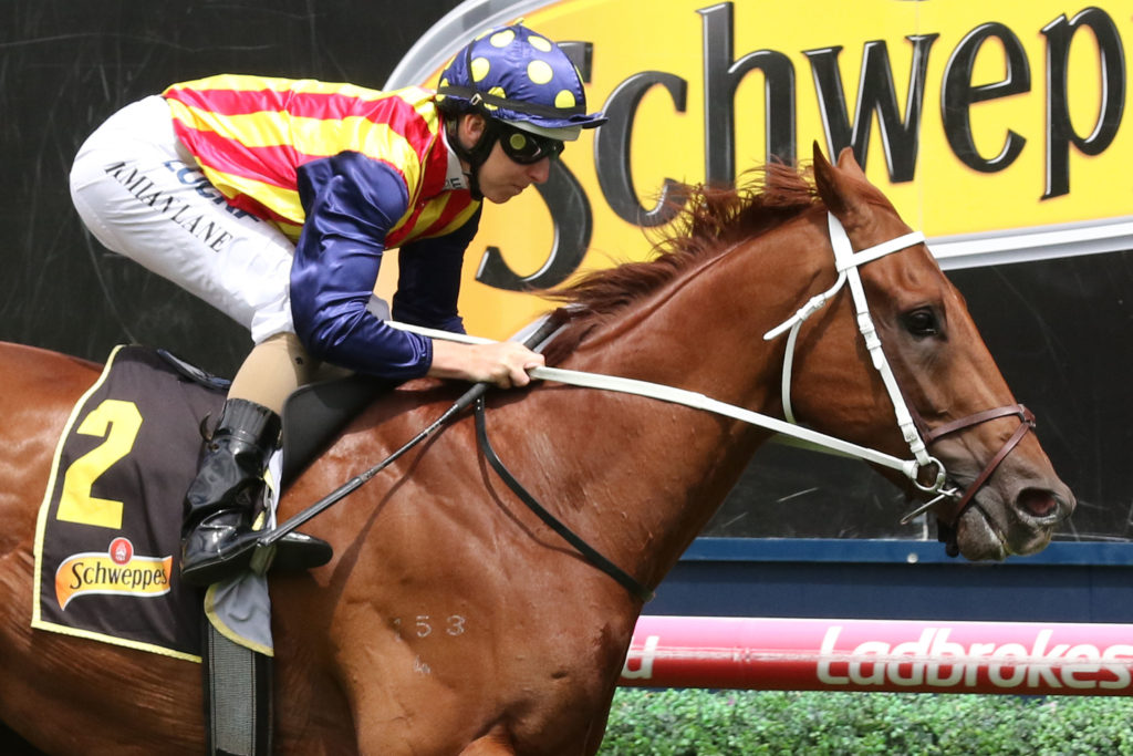 Nature Strip,Rubiton Stakes,Group 2_09-02-2019_WIN_Caulfield_4__1072 | Just Horse Racing
