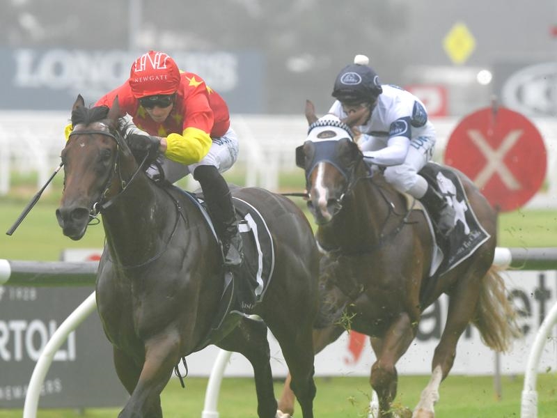 Rosehill slipper | Just Horse Racing