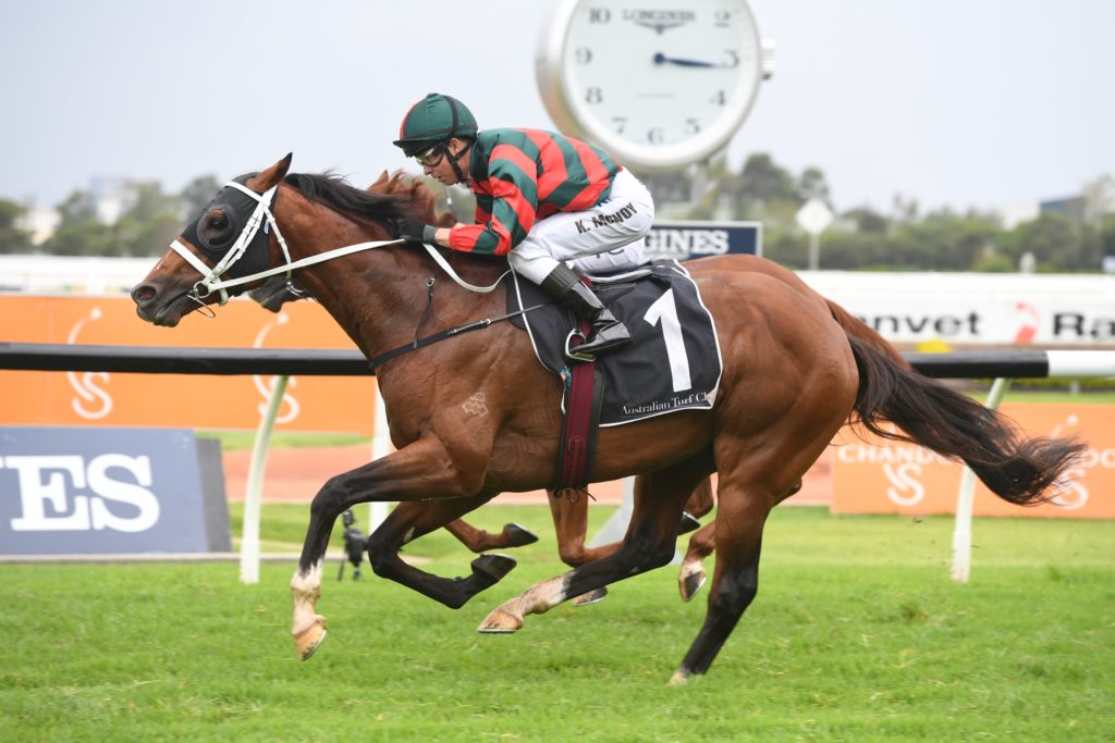 The Autumn Sun 230219 7785 | Just Horse Racing
