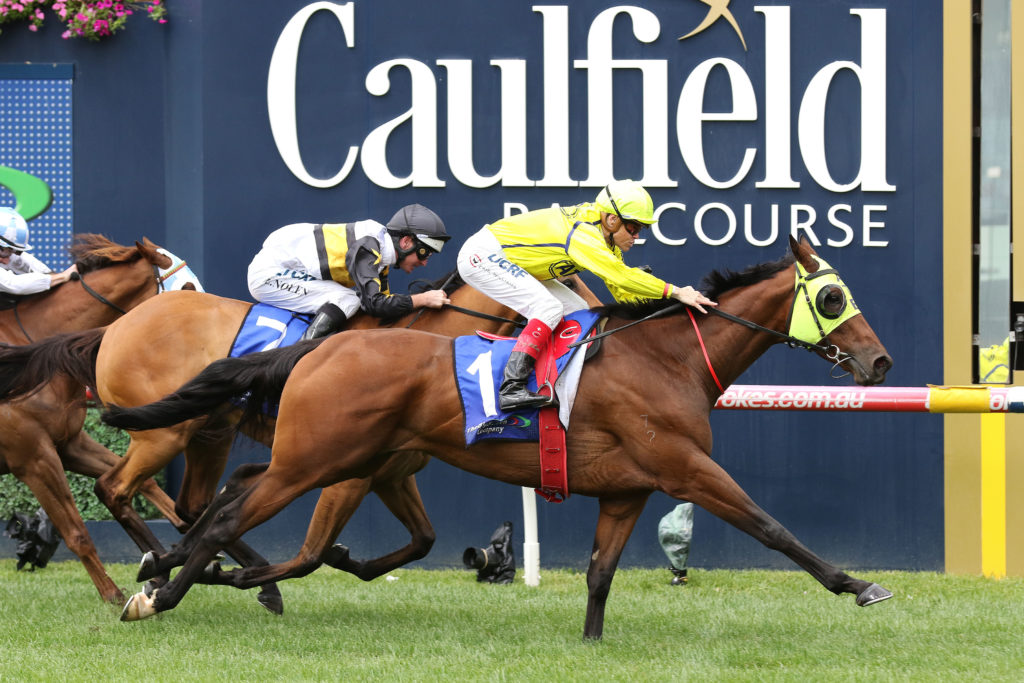 Yogi_09-02-2019_WIN_Caulfield_1__425 | Just Horse Racing