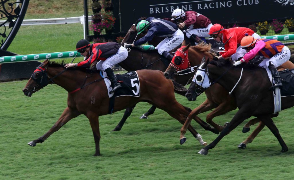 eagle farm race 1 Magic Beans 1 | Just Horse Racing