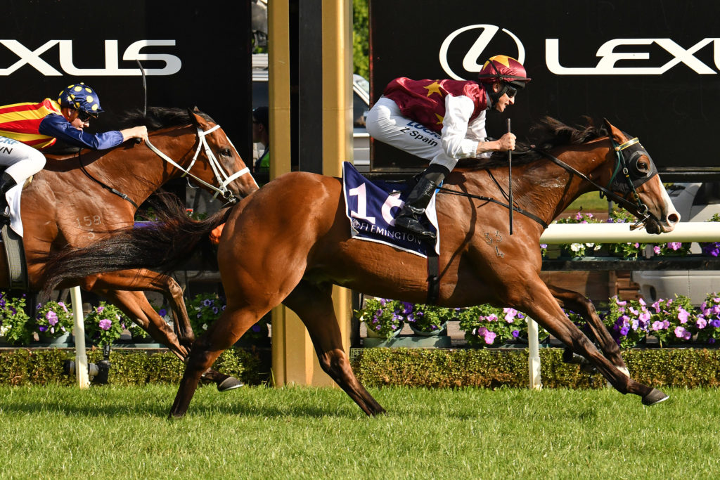 Streets Of Avalon | Just Horse Racing