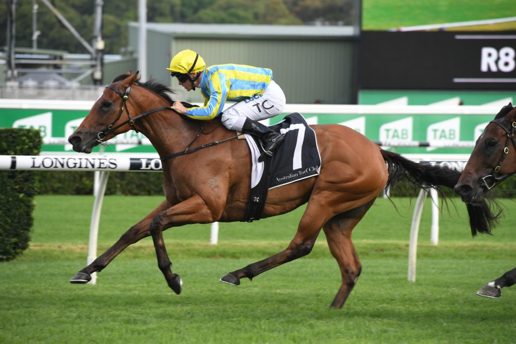 Alassio 020319 0129 | Just Horse Racing