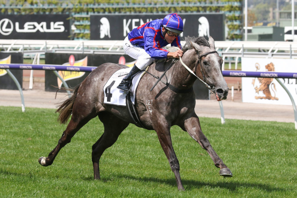 Anjana_09-03-2019_WIN_Flemington_4__595 | Just Horse Racing