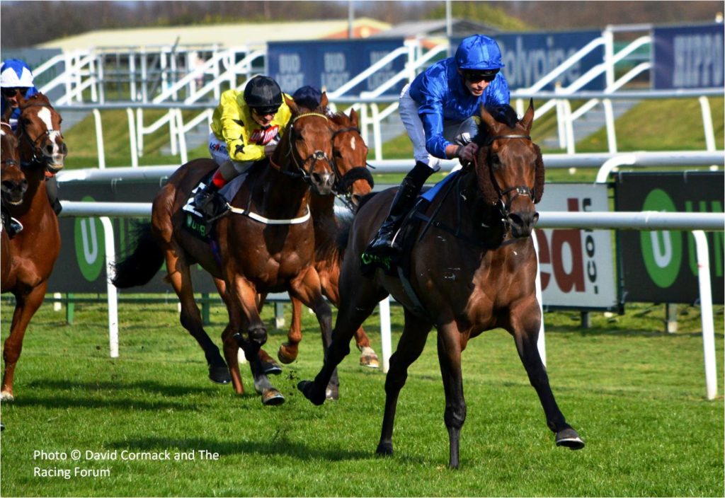 Auxerre | Just Horse Racing