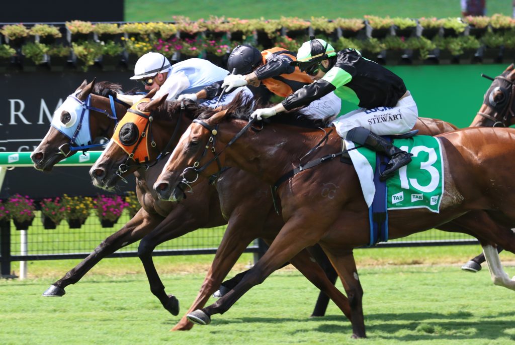 Benfica Princess | Just Horse Racing