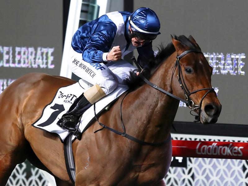 Dubai Al Quoz | Just Horse Racing