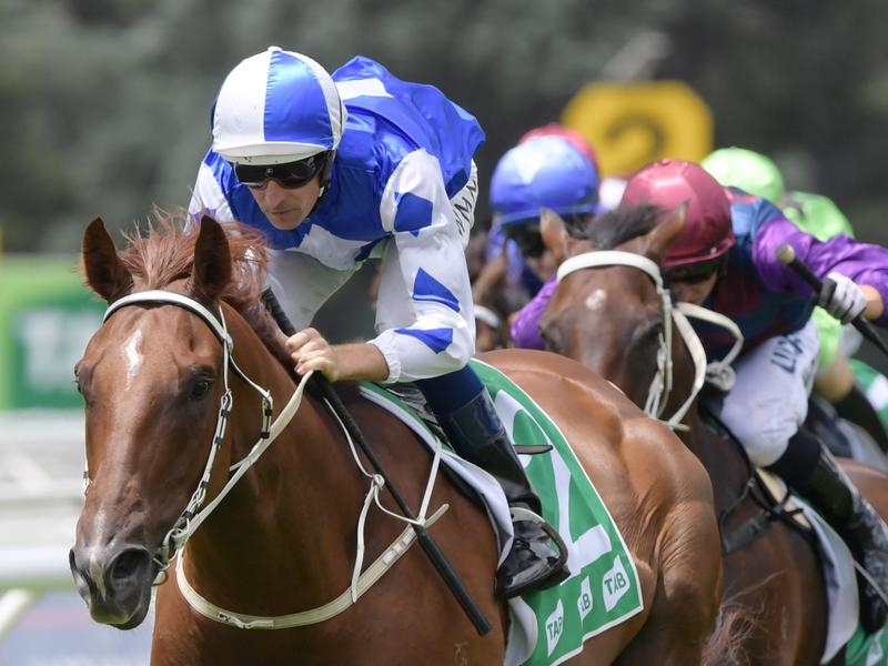 Gallops Country | Just Horse Racing