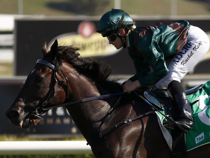 Gallops Newcastle | Just Horse Racing