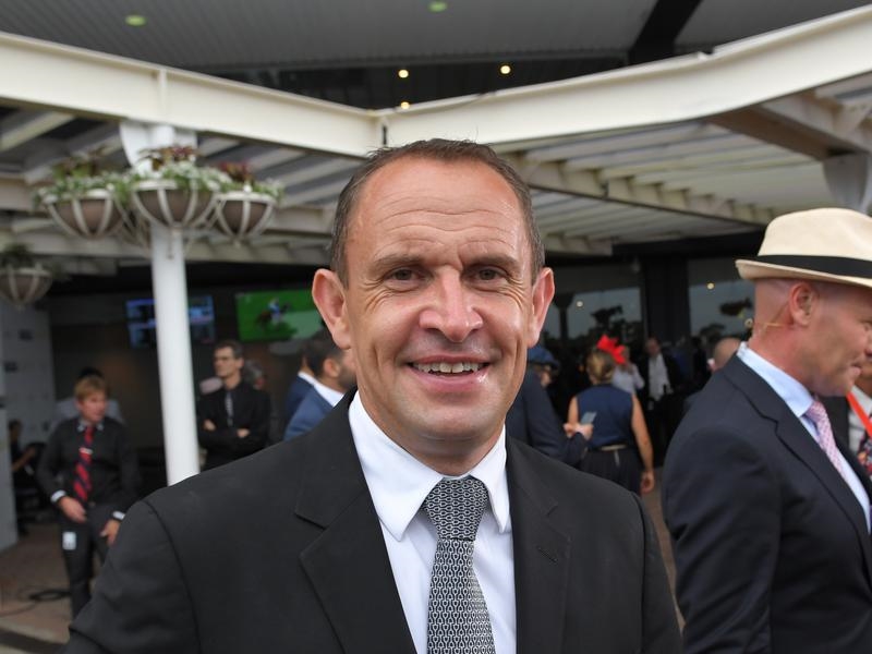 Gallops Waller | Just Horse Racing
